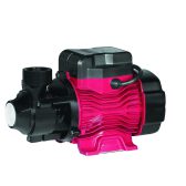 Bơm nồi hơi (cánh đồng)