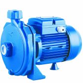 Bơm đầu tròn (canh PPO)